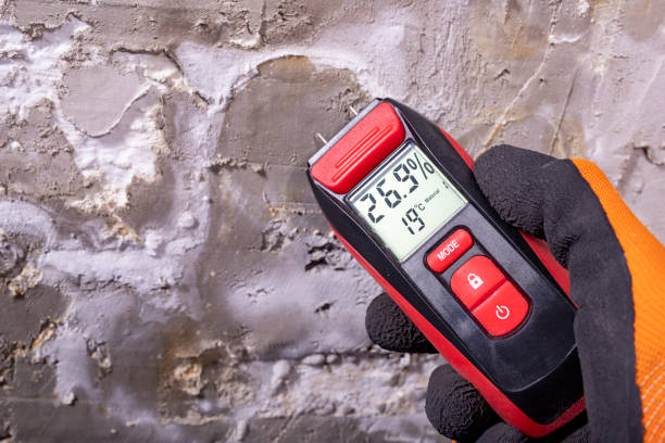 Best Office Mold Removal Services  in Corning, IA