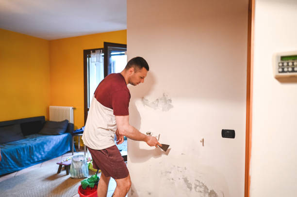 Best Commercial Mold Removal  in Corning, IA