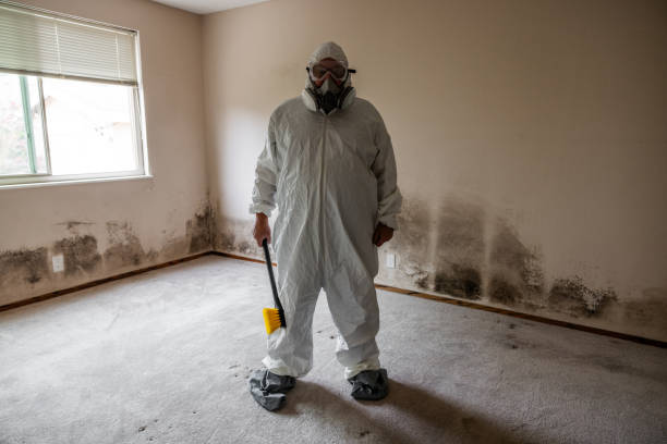 Home Mold Removal in Corning, IA