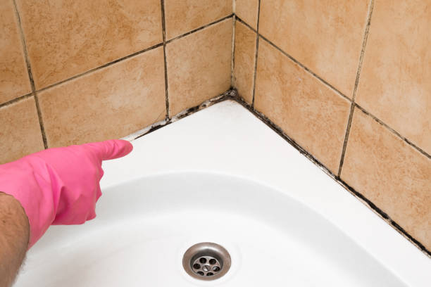 Best Residential Mold Removal  in Corning, IA